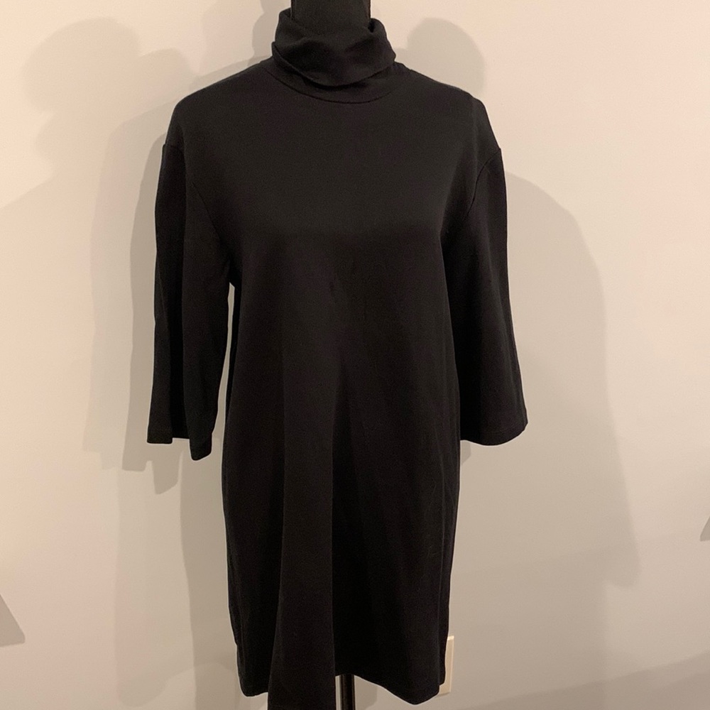 NWT Zara Dress